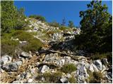 Planina Vetrh - Stegovnik